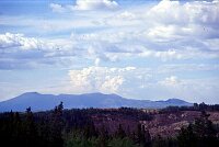A hughe forest-fire at Fox Lake, north of Whitehorse