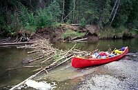 A Beaver Dam