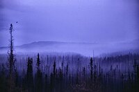 The Fox Lake forest-fire.