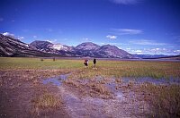 The long hike back to the van