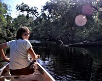 Jungle Trip with a canoe at Wekiva River