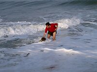 Atlantic coast, Oona is taking a bath...