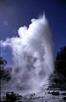 Lady Fox Geysir needs some starter to errupt