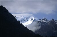 Fox Glacier and the Alps