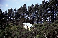 Liz Hut at Waiheke Island