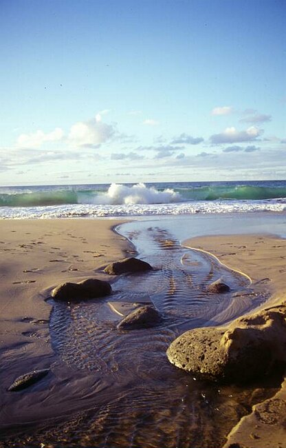 Dirks Weltreise 1998