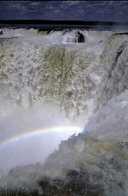 Hinne S�damerika 2001