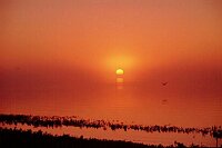 Sonnenaufgang zu Weihnachten