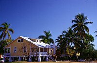 The Keys: Hemmingway may have lived here..