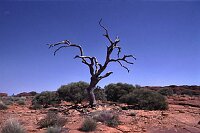 ... its hot and dry!