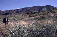 Another couple of kms left towards &quotRedbank George&quot